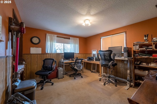 5383 Sunshine Rd, Roseburg, OR 97470 - carpeted office featuring wooden walls, a textured ceiling, and a wainscoted wall