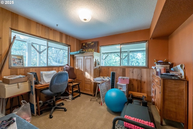 5383 Sunshine Rd, Roseburg, OR 97470 - carpeted home office featuring wooden walls, a textured ceiling, and a healthy amount of sunlight