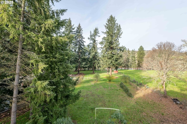 5383 Sunshine Rd, Roseburg, OR 97470 - view of yard
