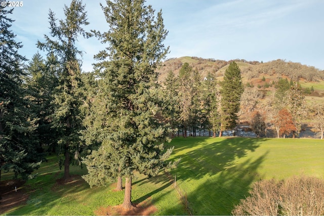 5383 Sunshine Rd, Roseburg, OR 97470 - view of home's community featuring a mountain view and a lawn