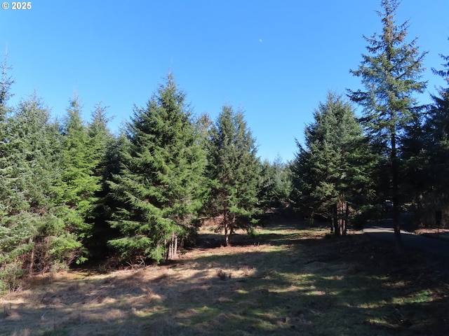 80 Wilson Ln, South Bend WA, 98586 land for sale