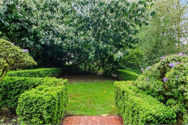 1965 SW Montgomery Pl, Portland, OR 97201 - view of green lawn