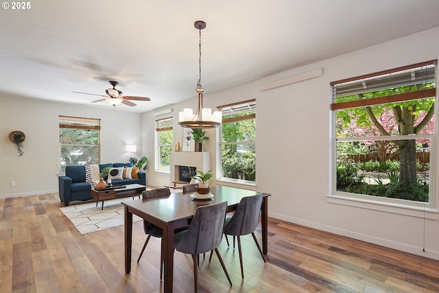 dining room with ceiling fan, light wood-style flooring, and baseboards