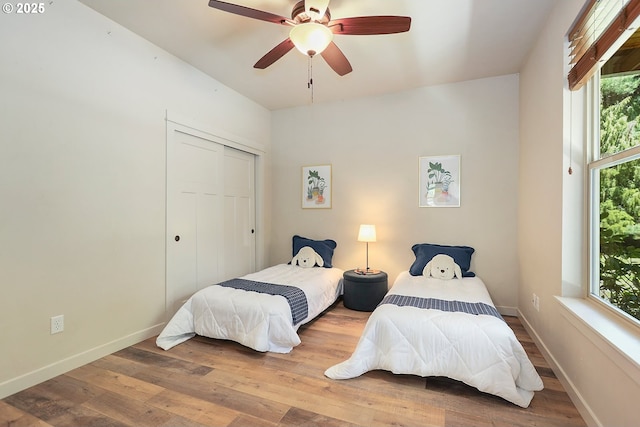 bedroom featuring multiple windows, a closet, and wood finished floors
