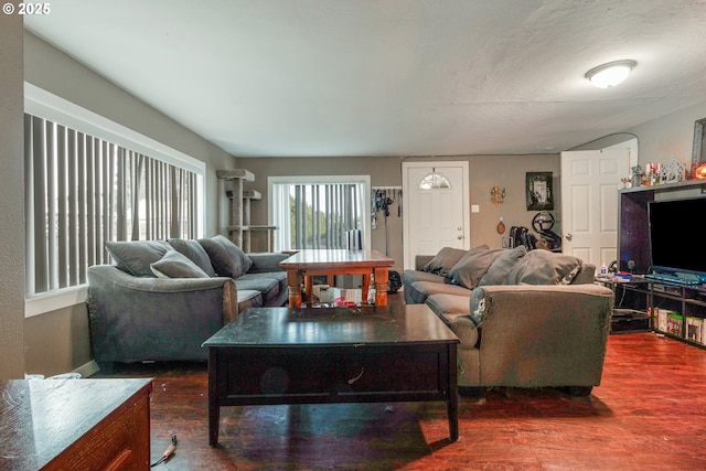 living room featuring dark hardwood / wood-style flooring