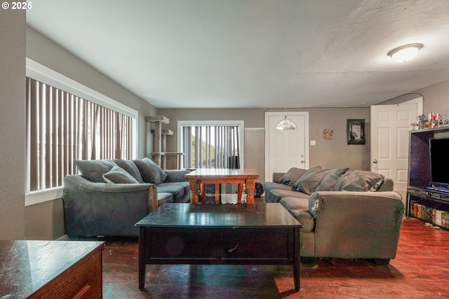 living room featuring dark hardwood / wood-style flooring