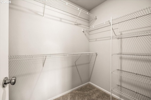 31363 NW N Ave, North Plains, OR 97133 - walk in closet featuring carpet flooring