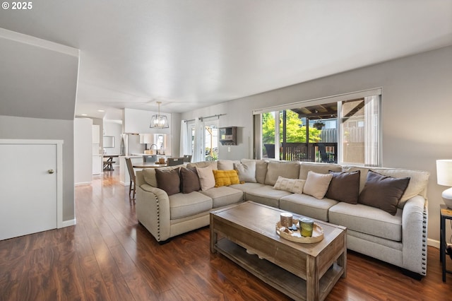 living room with dark wood-style flooring and a chandelier