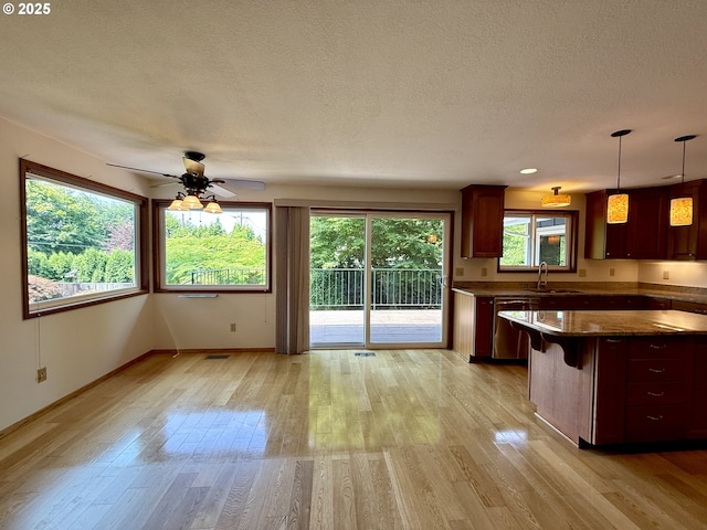 5235 SE 32nd Ave, Portland, OR 97202 - kitchen with dishwasher, a textured ceiling, light wood-style floors, healthy amount of natural light, and ceiling fan