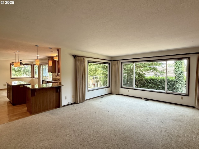 5235 SE 32nd Ave, Portland, OR 97202 - unfurnished living room with light colored carpet, healthy amount of natural light, and a textured ceiling