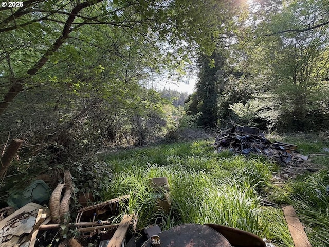 view of landscape