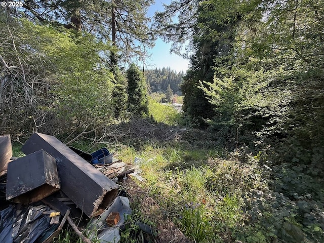 view of local wilderness featuring a view of trees
