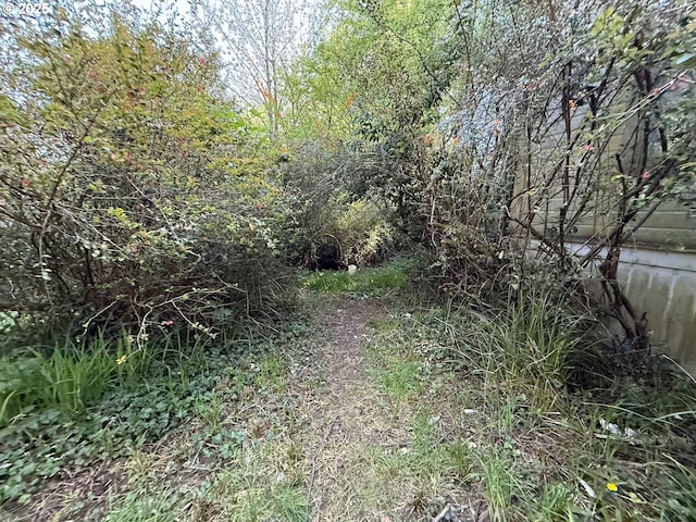 view of nature