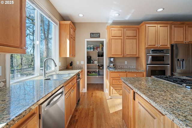 kitchen featuring light wood-style floors, a sink, light stone countertops, and stainless steel appliances