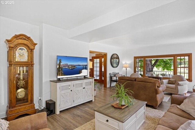 living room featuring wood finished floors