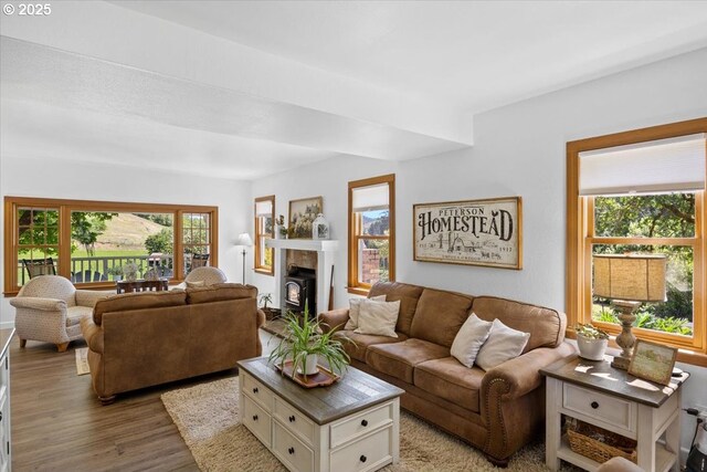 living room with wood finished floors, healthy amount of natural light, and a fireplace with raised hearth