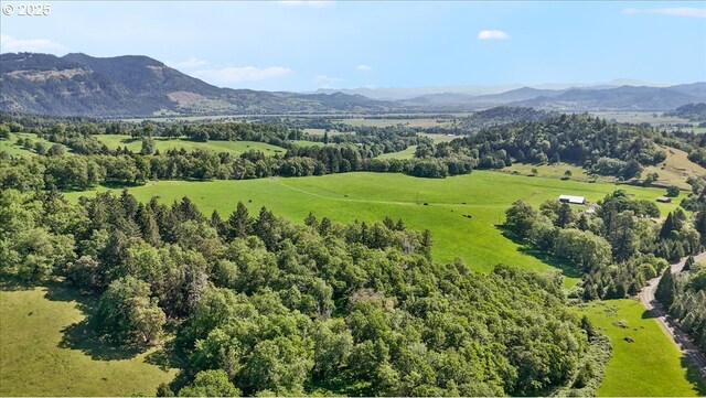 aerial view of a mountain backdrop