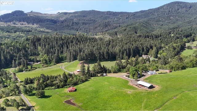 bird's eye view of a mountainous background and a forest