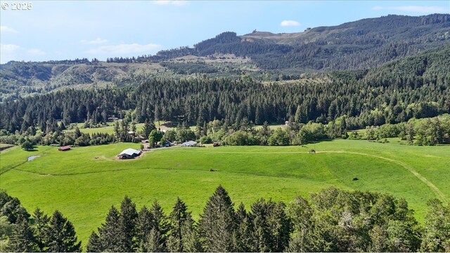view of mountain background with a forest