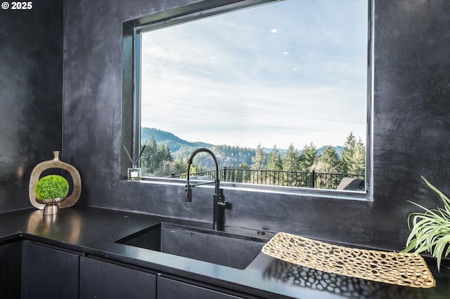 kitchen with plenty of natural light and sink