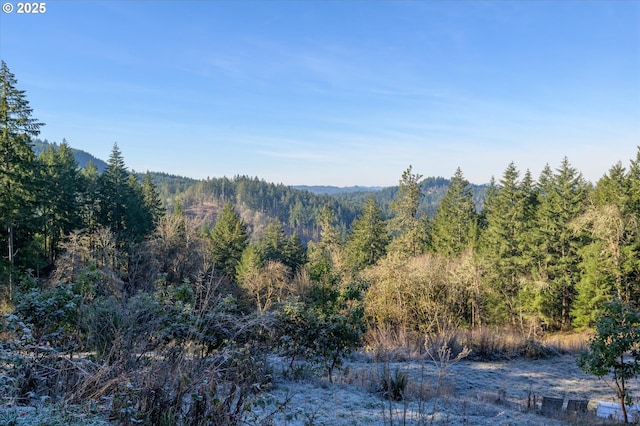 property view of mountains