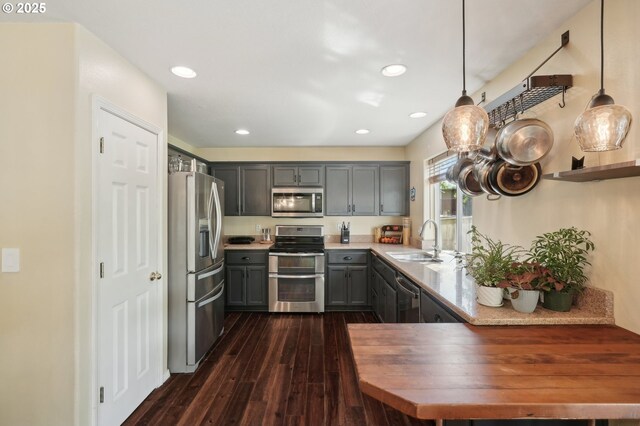 kitchen featuring a sink, dark wood finished floors, wood counters, gray cabinetry, and stainless steel appliances