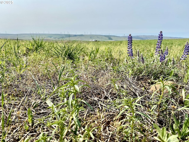 163 Three Spurs Loop, Goldendale, WA 98620
