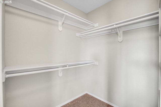 23836 SW Warbler Pl, Sherwood, OR 97140 - spacious closet with carpet