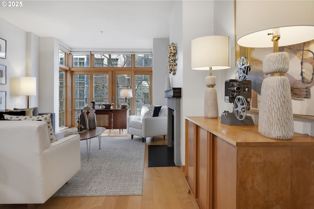 living room featuring floor to ceiling windows and light wood-type flooring