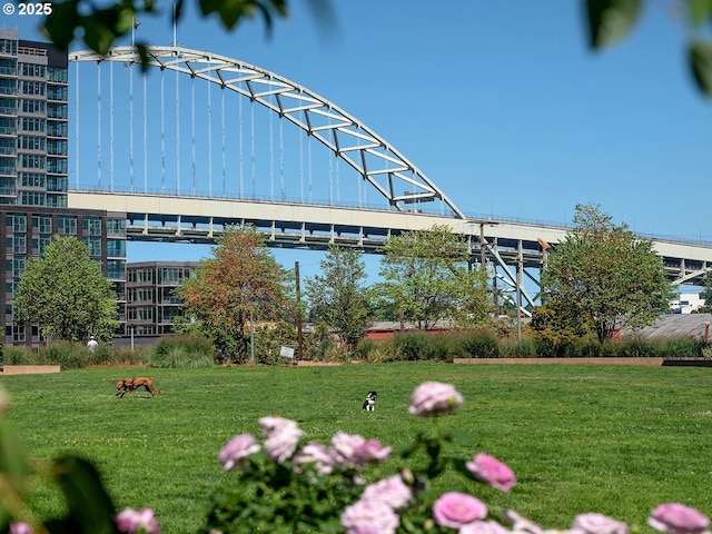 view of property's community with a lawn