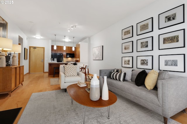 living room with light hardwood / wood-style floors