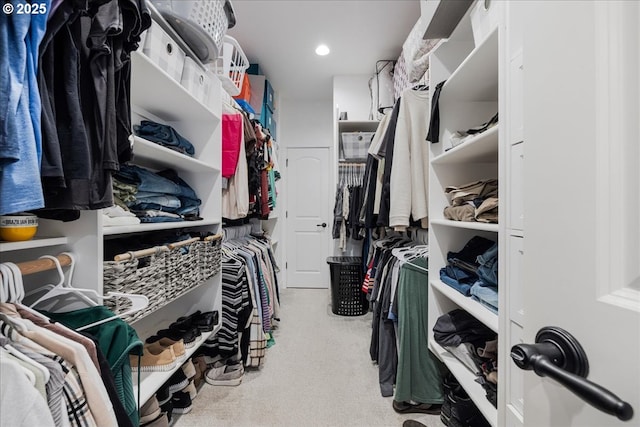 walk in closet with carpet flooring