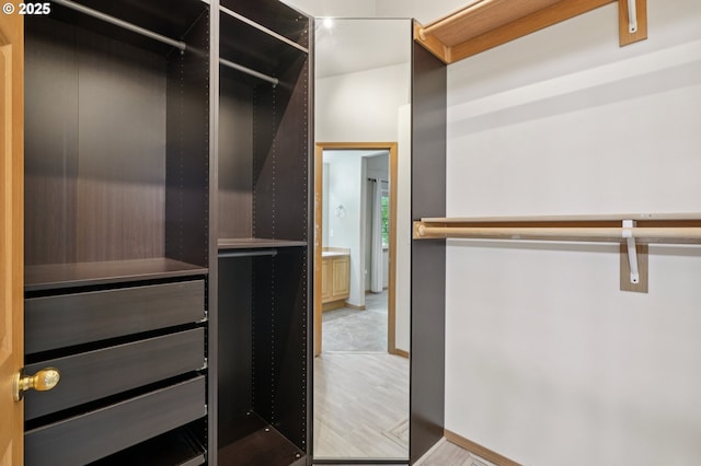 1041 40th St, Washougal, WA 98671 - walk in closet with light wood-style flooring