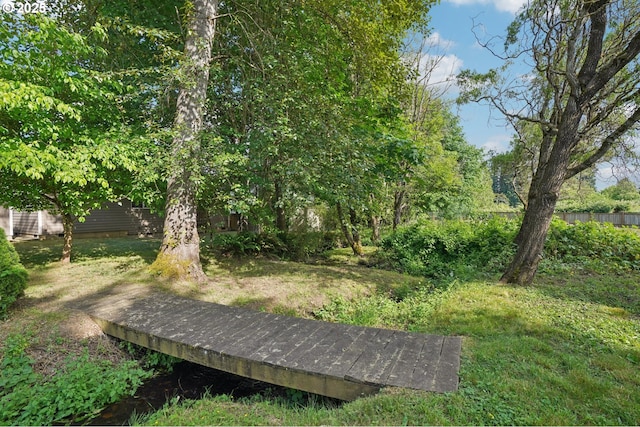 1041 40th St, Washougal, WA 98671 - view of yard