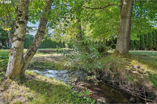 1041 40th St, Washougal, WA 98671 - view of yard with a wooded view
