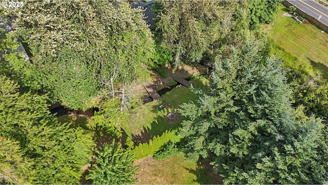 1041 40th St, Washougal, WA 98671 - aerial view of property's location