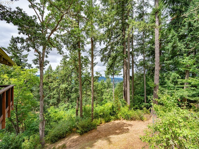 2830 Capital Dr, Eugene, OR 97403 - view of yard with a forest view