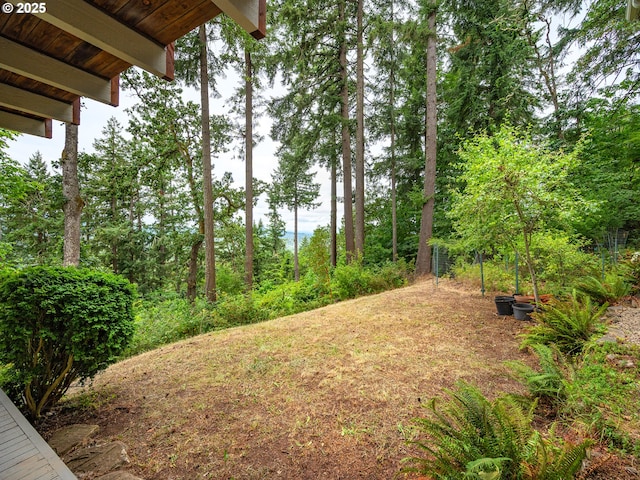 2830 Capital Dr, Eugene, OR 97403 - view of yard