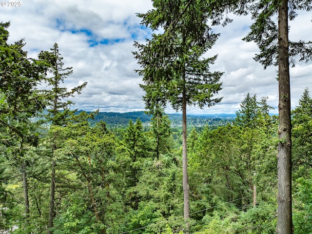 2830 Capital Dr, Eugene, OR 97403 - view of mountain backdrop featuring a forest