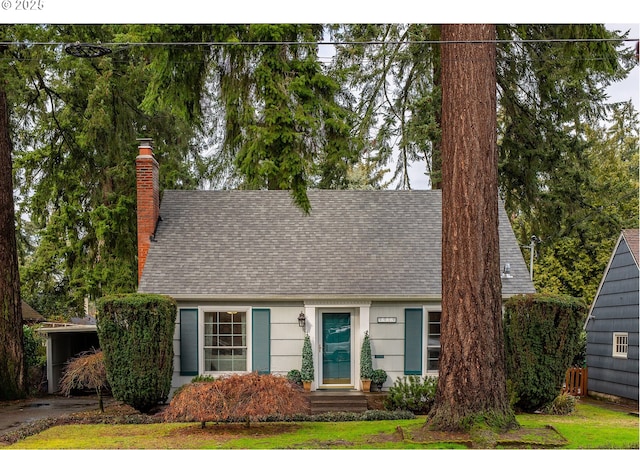 view of front facade with a shingled roof and a chimney