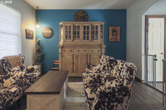 living room with dark wood finished floors