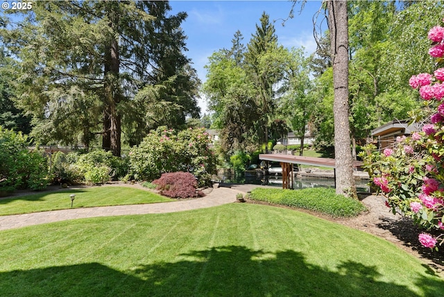 17595 Kelok Rd, Lake Oswego, OR 97034 - view of green lawn