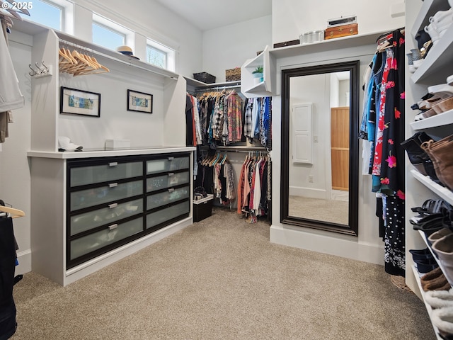 walk in closet with carpet