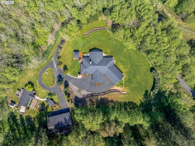 drone / aerial view