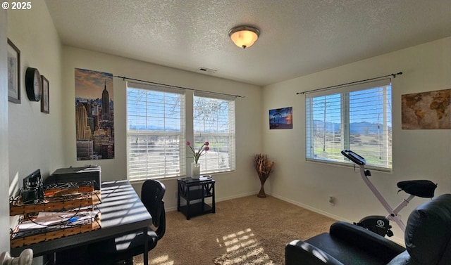 home office with plenty of natural light, light colored carpet, and a textured ceiling