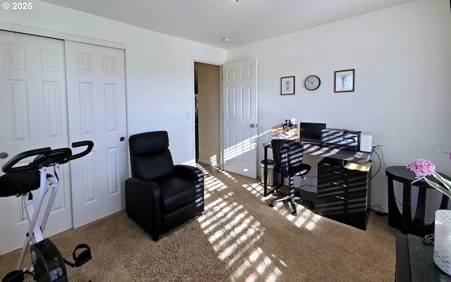 office with carpet floors