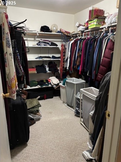 89384 Sutton Lake Rd, Florence, OR 97439 - spacious closet with carpet