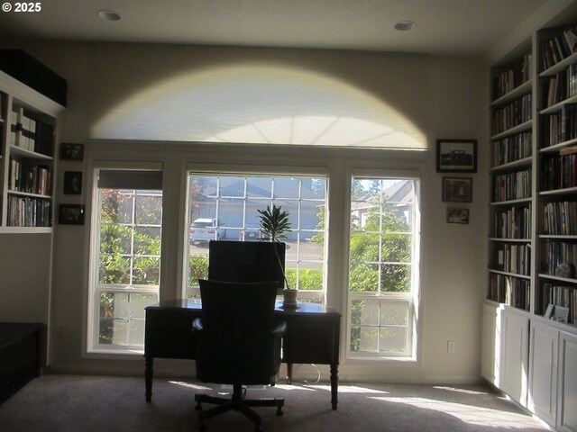 1350 Hidden Creek Dr NE, Keizer, OR 97303 - office area featuring plenty of natural light, carpet, and built in features