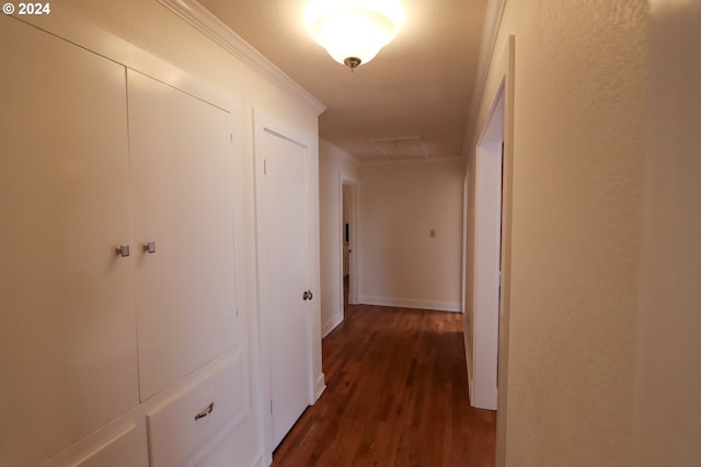 hallway featuring dark wood-style floors