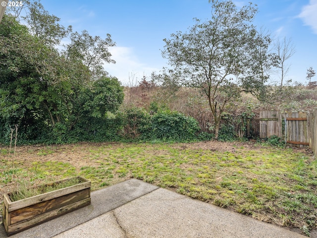 view of yard featuring a patio area